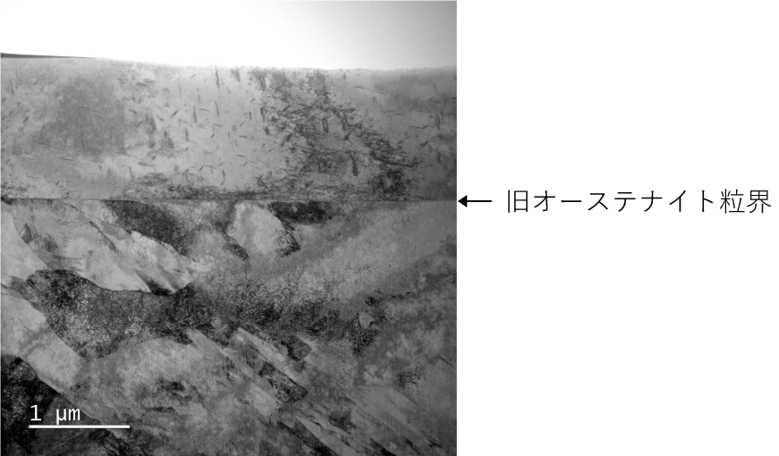 断面観察画像1（BF-STEM）-2.png