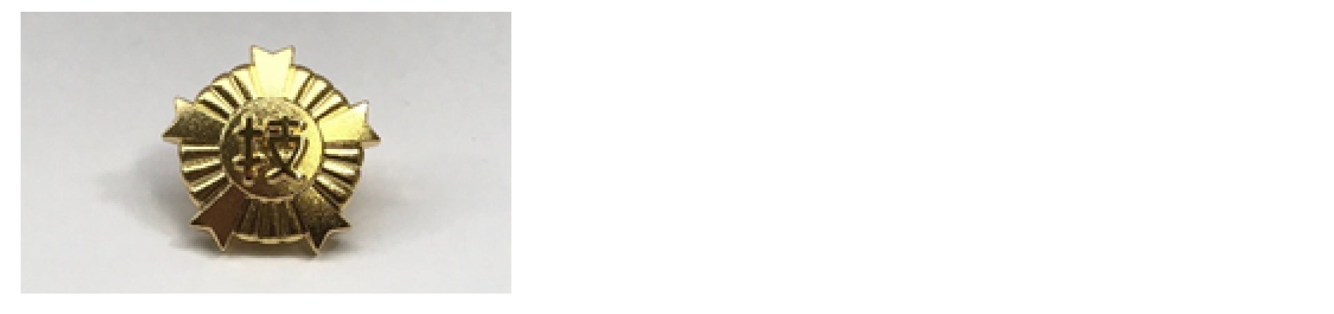 image_2.png