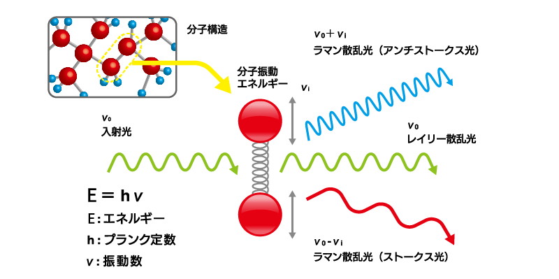 image1.png